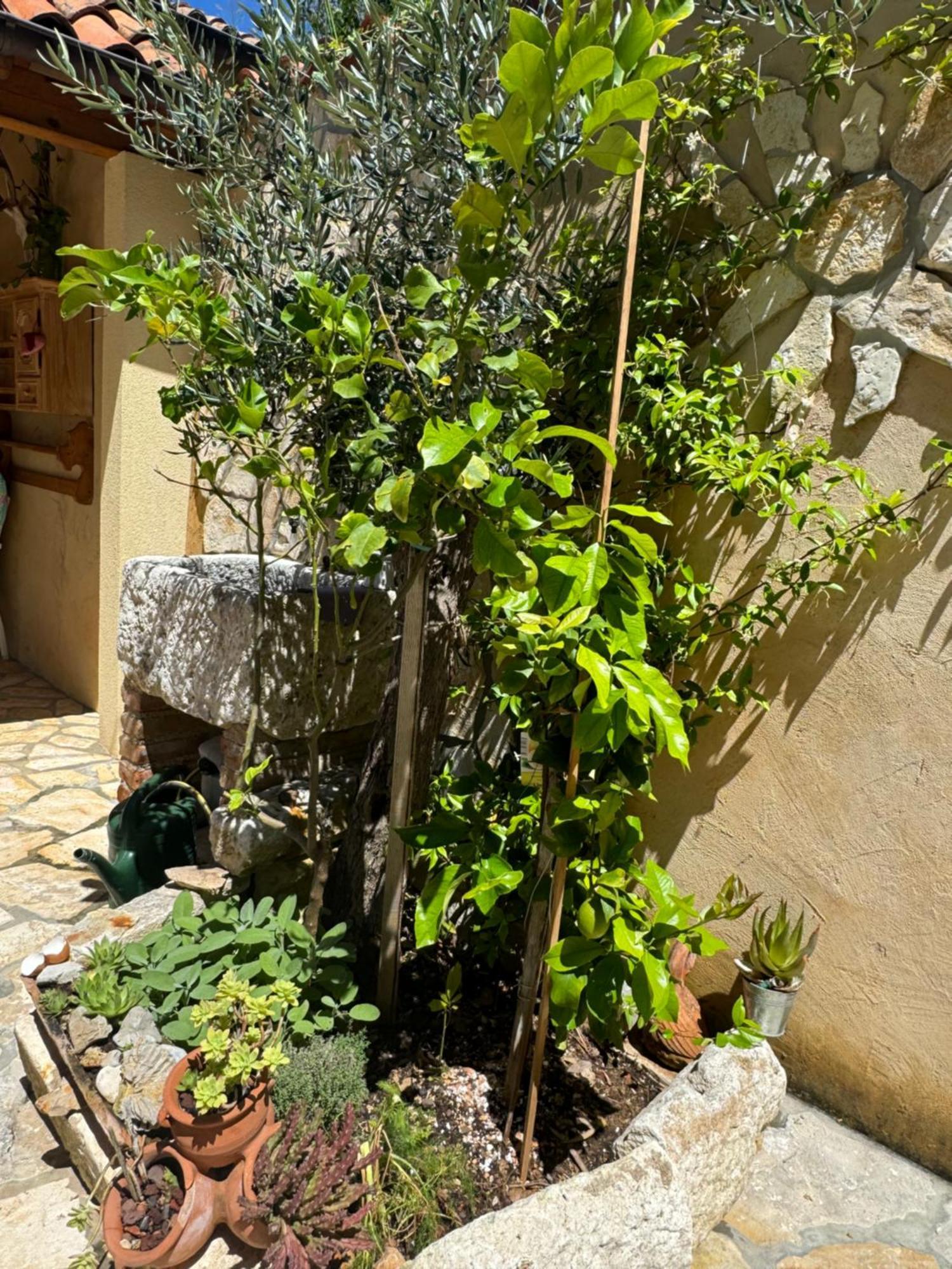 Mediterranes Ferienhaus M. Terrasse เวลิโลชิน ภายนอก รูปภาพ